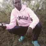Harrison miya - @harrison_miya - Instagram