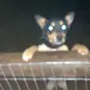 miyamorgan - @.miyamorgan_ - TikTok