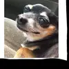 mïŷå tõrrês - @miya_torres12 - TikTok