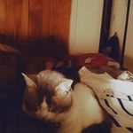 miyah Thompson - @maryfizer06 - Instagram