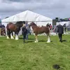 mjbarron22 - @mjbarron22 - TikTok