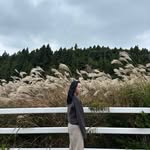@mj__kwon__ - Instagram