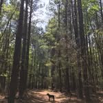 Mj Kwon - @mj168 - Instagram