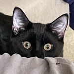 MJ Smith - @mxmjsmith - Instagram