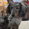 MJSmith - @mjsmith_0211 - TikTok