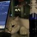 Mo Chen - Facebook