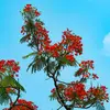 mohossain tanvin - @mohossain.tanvin - TikTok