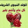 Mo  Youssef - @moyoussef2 - TikTok