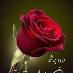 mozafar - @mozafar658979 - Instagram
