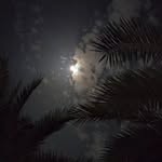 Moaid ABu Nasser - @moaid.7.mm - Instagram