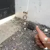 Modesta Javier - @modesta.javier - TikTok