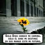 Modesta Sanchez - @modesta479 - Instagram