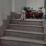 Modesto Baca Aranzabal - @bacaaranzabal - Instagram