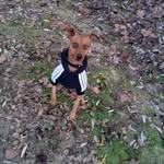 Modesto De Leon Collado - @modestodeleoncollado - Instagram