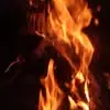 Modesto Gomez - @modesto.gomez16 - TikTok