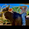 Modesto Gómez 🐊 - @gom_nav11 - TikTok