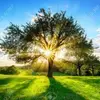 Modesto Rios - @modesto.rios4 - TikTok