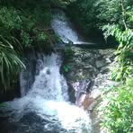 Jose De Jesus Modesto Toribio - Facebook