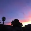 Moe Jordan - @moejordan370 - TikTok