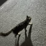 Moek - @moe_jordan123 - Instagram