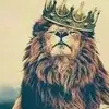 Mohd - @moe.jordan1 - TikTok