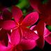 Moe Naing - Facebook