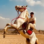 moe 🇵🇸 - @moe_nassan23 - Instagram