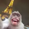 Mohamed - @moenass11 - TikTok