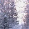 Moe Perkins - @moe.perkins - TikTok