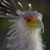 Mo Phillips  - Facebook