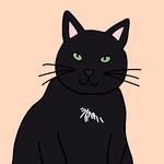 Moepie (Shakira) 💫 - @_moepietheblackcat - Instagram