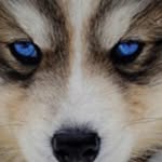 Moe - @m_o_e_r_o_c_k_s - Instagram