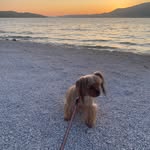 Moe Rock - @moerockvo - Instagram