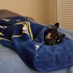 Moe Schroeder - @moe_danger989 - Instagram