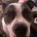 Moe Schroeder - Facebook