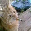 (krizzy) - @starkzmoe - TikTok