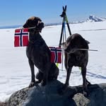 Steinar Moe - @moe.steinar - Instagram