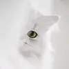 Moe White - @moe.white5 - TikTok