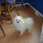 Moe - @moeyounger - Instagram