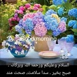 moeed abbasi - @moeedabbasi79 - Instagram