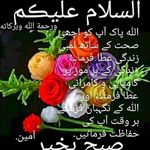 Moeez Tariq - @moeez6819 - Instagram