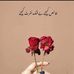 Moeez Tariq - Facebook