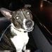 Matt Jones - Facebook