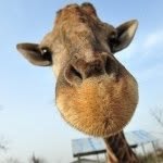 @xunuo_mofei - Instagram
