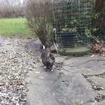 Mogens Andersen - @mogens.andersen.7921 - Instagram
