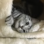 モーちゃん日記🐾 - @moh_chan_2020_11_15 - Instagram