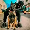 Moh Sal - @moh.sal23 - TikTok