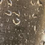 Mohamad Alali - Facebook