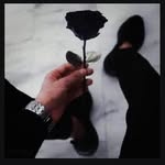 mohamad_nasri - @mohammadnasri345coo - Instagram