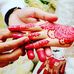 Mohamad Nasri - Facebook